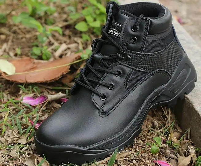 36020180316111426217