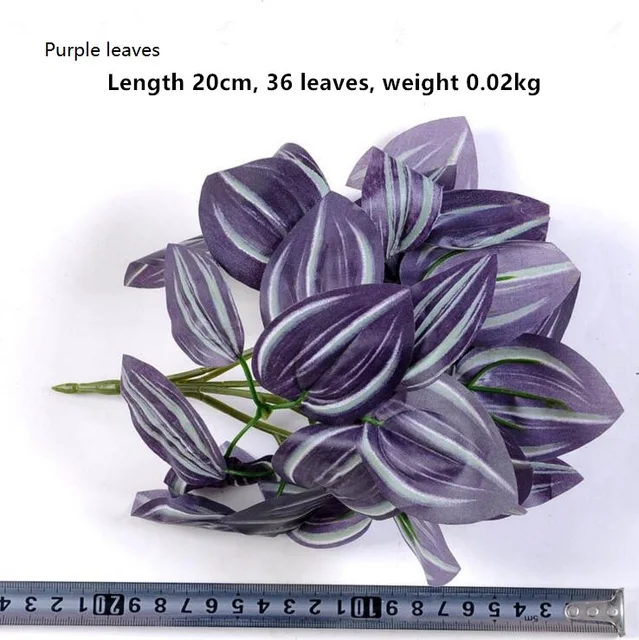 purple leaves