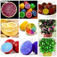 Recommend-Seeds-30-Pcs-Lemon-Seeds-Delicious-Fruit-Seeds-Succulent-Plants-Happy-Farm-Terrace-Miniature-Perennial.jpg_200x200