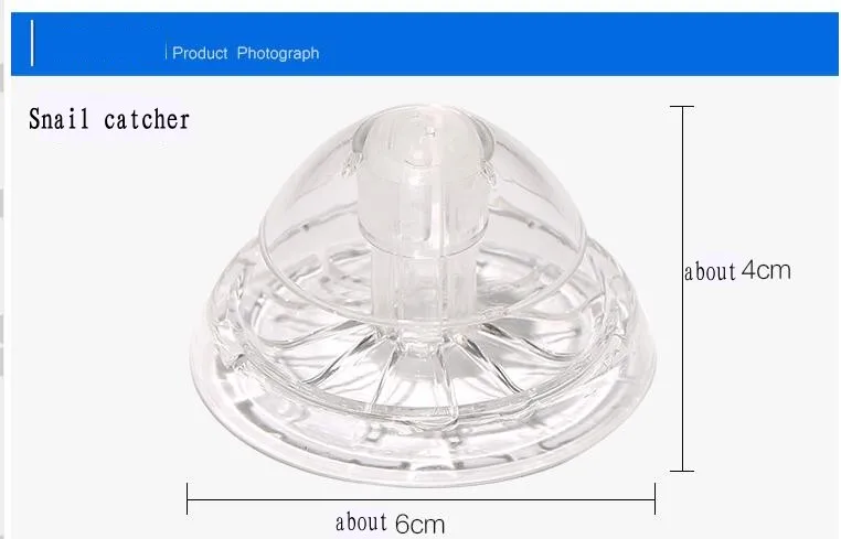06_conew1