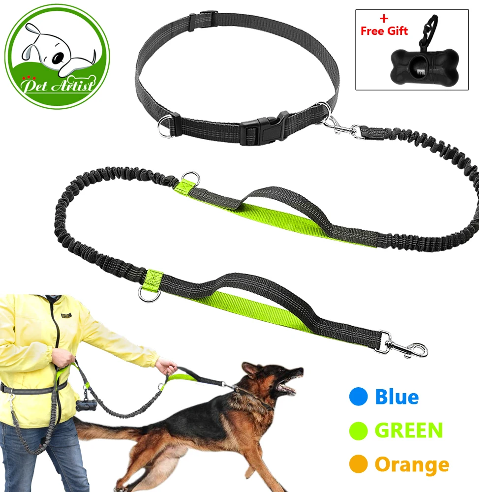 Retractable Hands Free Dog Leash for Running Dual Handle Bungee Leash