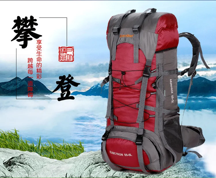 Aeroline брендовая сумка для экспорта, Спортивный Рюкзак Для Путешествий, Походов, альпинизма, водонепроницаемый рюкзак,, 85+ 5L