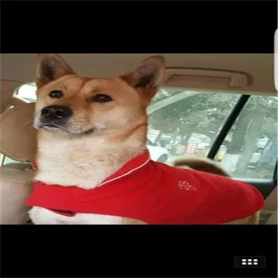 3070