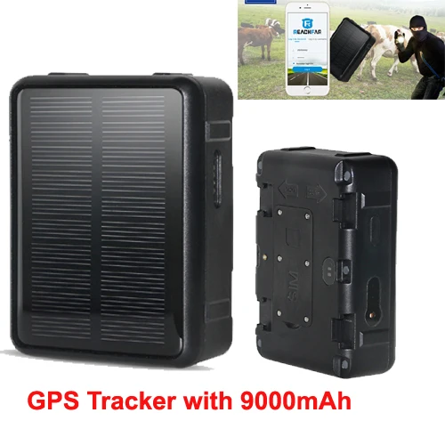 GPS трекер для овец коров лошадей на солнечной батарее|GPS-трекеры| |