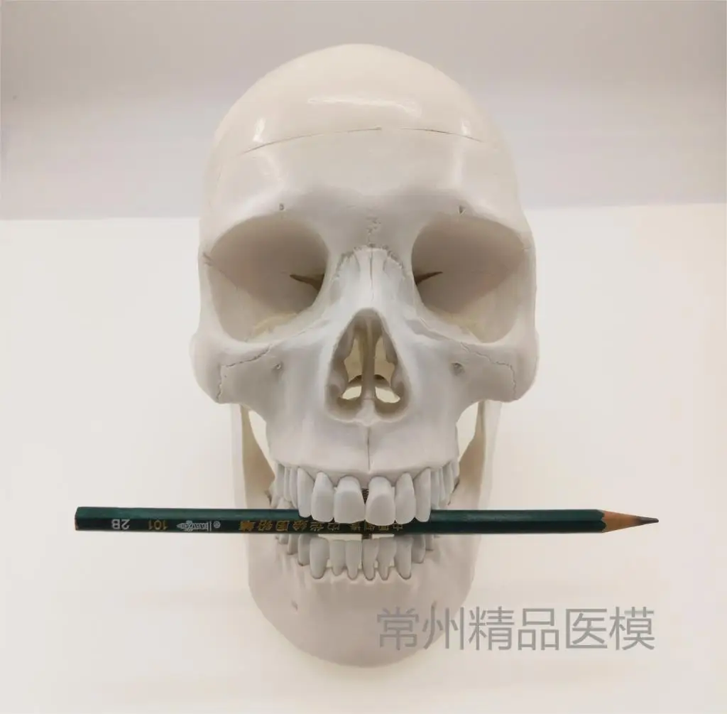 //img.alicdn.com/imgextra/i4/1835554806/TB2ONzgtpXXXXbzXXXXXXXXXXXX_!!1835554806.jpg