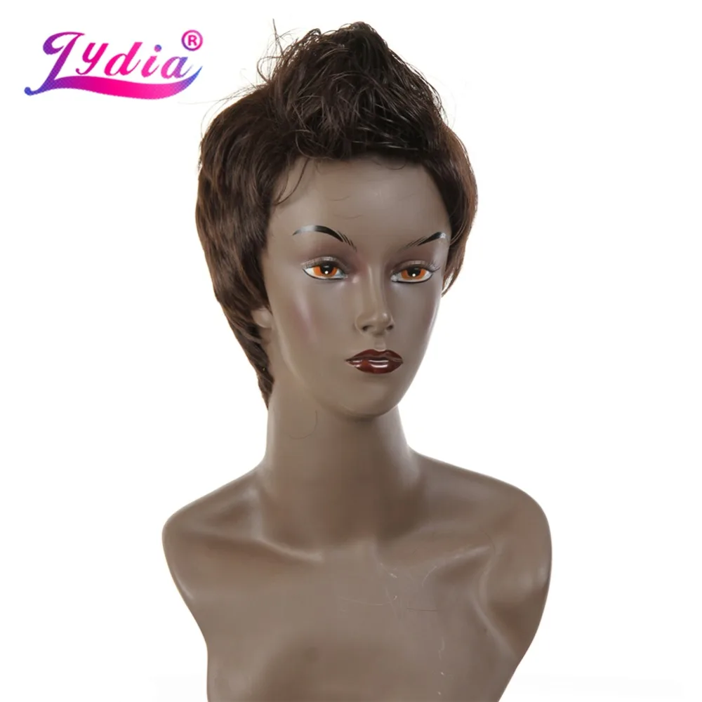 Lydia Male Synthetic Wig Short Straight Dark Brown Nature Full Wigs Heat Resistant For Men Boy