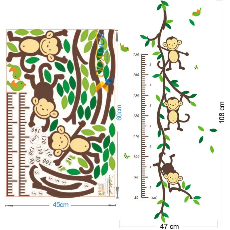 Lovebird Growth Chart