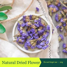 20g Preserved Flower Do not forget me home decoration natural purple dried flowers santoro london закладка магнитная forget me not all these words
