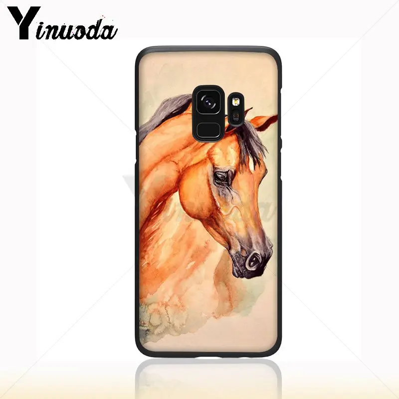 horse animal