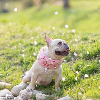 

1PC Cooling Dog Collar With Gel Ice Bags Cute Cooling Ice Neck Collar For Dogs Cats Pet Outdoor Leads Collar Adjustable 60-75cm