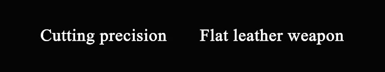 8572868313_1701655136