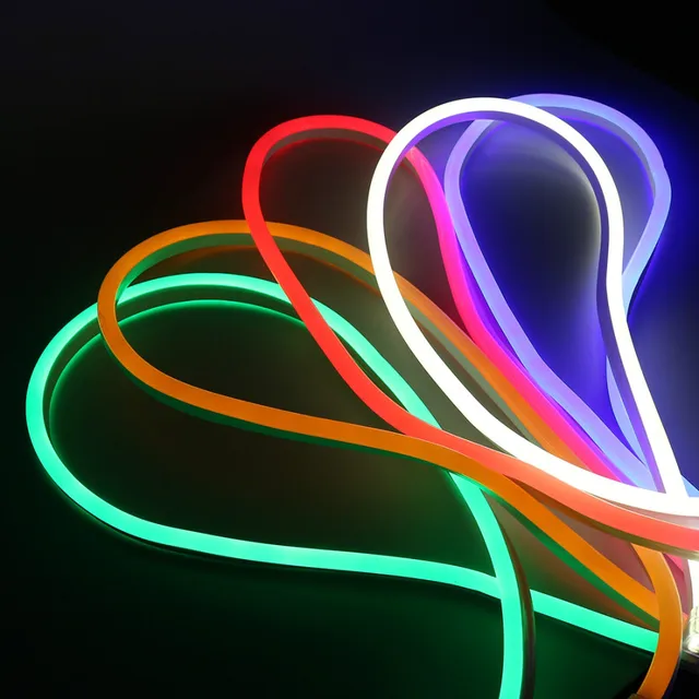 Outdoor Decorative LED Neon Strip Light AC220V 120LED/M SMD 2835 IP67