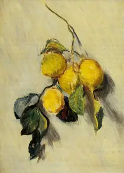 

High quality Oil painting Canvas Reproductions Branch of Lemons (1883) By Claude Monet hand painted