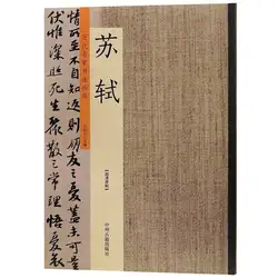 Китайская каллиграфия копирайтер камня надпись потертости, кисть книга для письма 95 страниц 23*33,50 см
