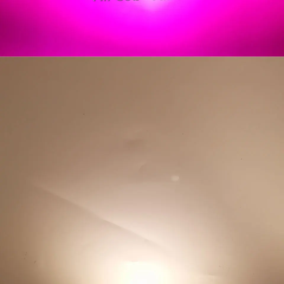_06