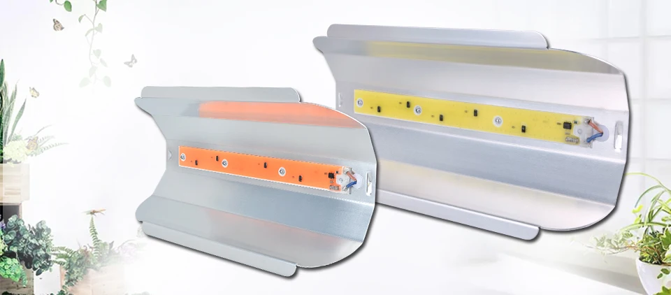 Phyto Lamps (1)
