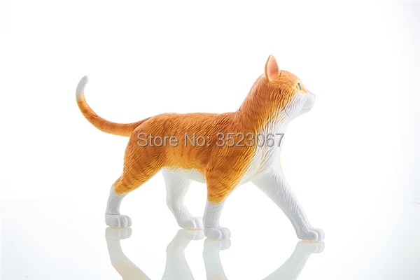 

4D master vision THE DISSECTED orange tabby CAT funny ANATOMY MODEL medical skull skeleton anatomical Science Educational Toys