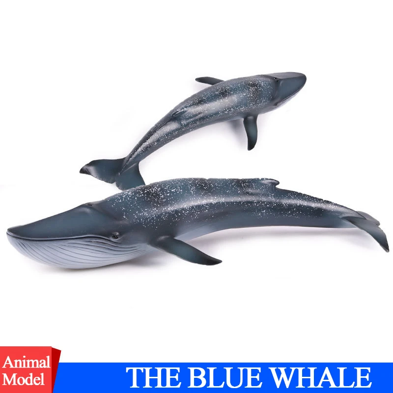 blue whale figure