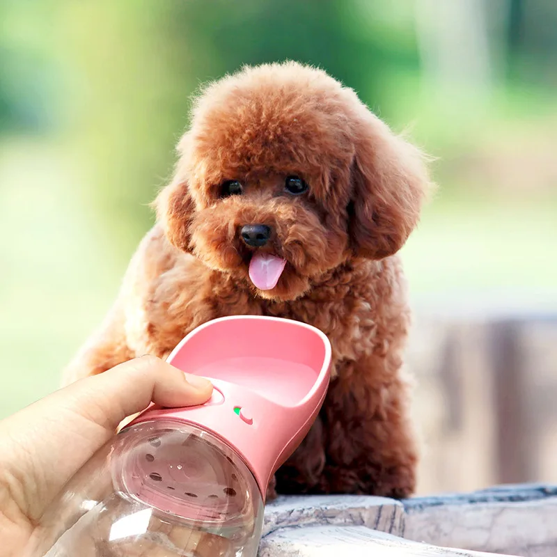 Alimentação p/ cães