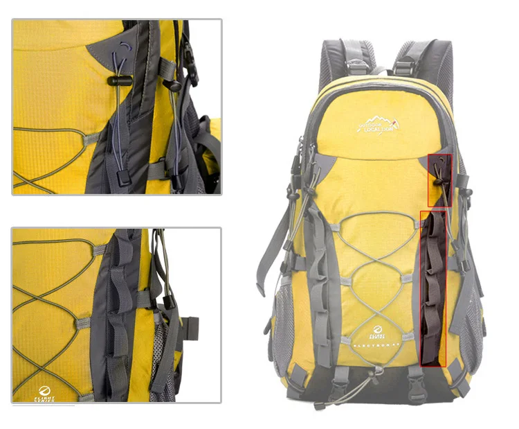 Местная спортивная сумка с изображением Льва, 40 л, рюкзак для альпинизма, функциональные мужские и женские сумки Bolsas Femininas, походная сумка для путешествий