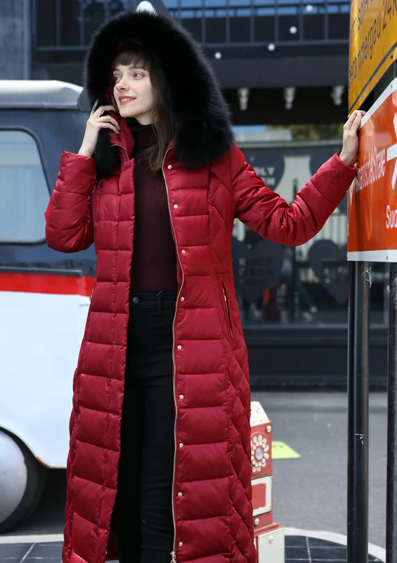 LF5200 (11)