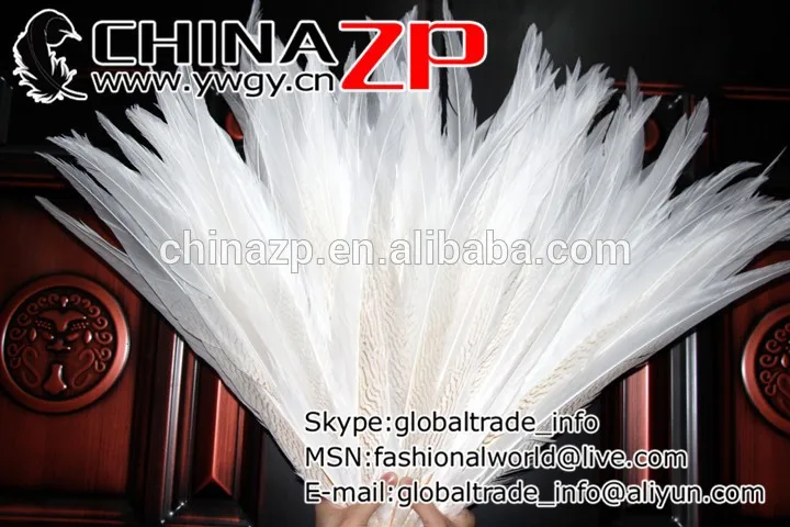 Long Siliver Pheasant feathers (6)