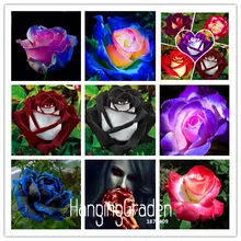 New Seeds 2016!White Heart Pink Side Rose Seeds 24 Colors Plants Potted Rose Rare Flower Seeds Balcony 50 PCS,#KJ1W18