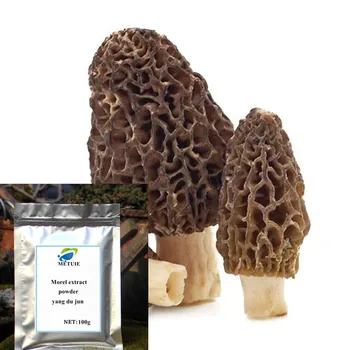 

Organic Morchella Esculenta Extract Morchella Esculenta Powder Morel Mushroom Extract Yang Du Jun Good Quality, Free Shipping