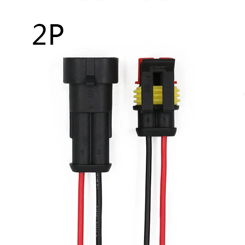 2P