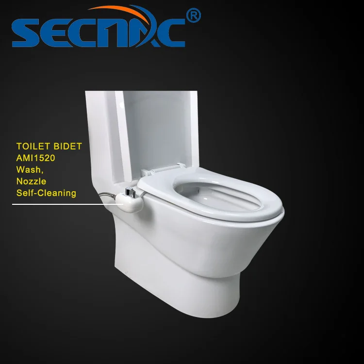 Toilet seat bidet bathroom accessories plastic bidet install in toilet