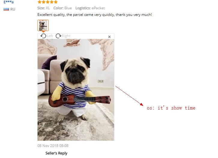 Забавный питомец гитара Рок-певец Косплей Костюм Собаки гитарист заправка Вечерние Нарядные платья для собак кошки подарок