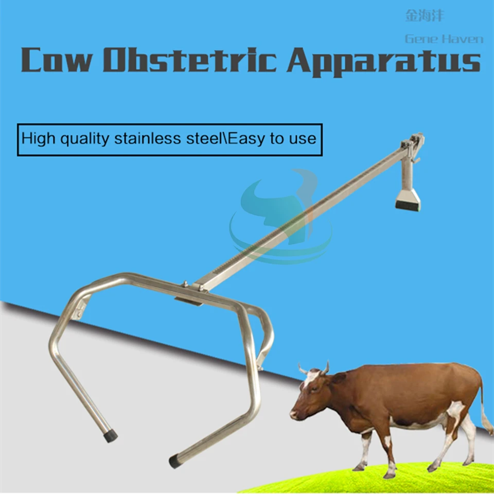Goat Forceps AAProTools Durable Cow OB Apparatus 2 OB Handle & 60 Inch Chain Cattle Delivery Instruments for Dairy Farm 