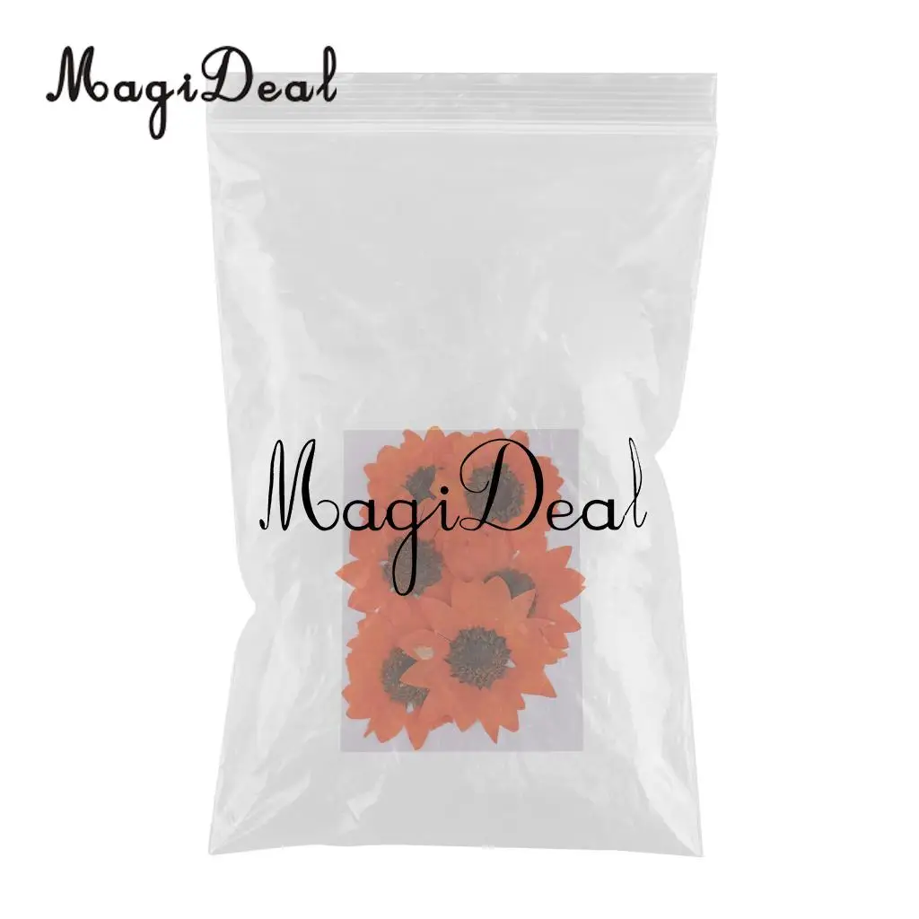 6 Pieces Pressed Natural Real Dried Flowers Sunflower for DIY Resin Ornament Craft Christmas Xmas Card Making Decoration