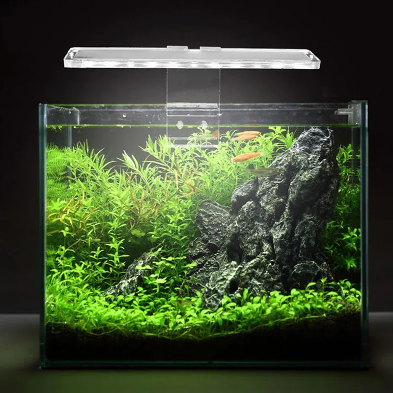 Mini Ikan Tangki Lampu Led Aquarium Reptil Kasus Lampu Bar Hemat