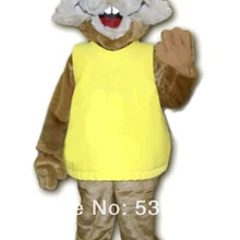 Лесные животные маскарадный костюм Мышь Крыса символ «Герой мультфильма» маскота маскарадный костюм комплект подходит карнавальный костюм SW1126