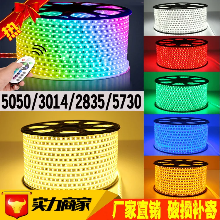 cheap factory direct LED Strip 5050 Waterproof 220V IP66 High Voltage 230V LED Flexible Strip Power Plug 60leds m Garden holiday party