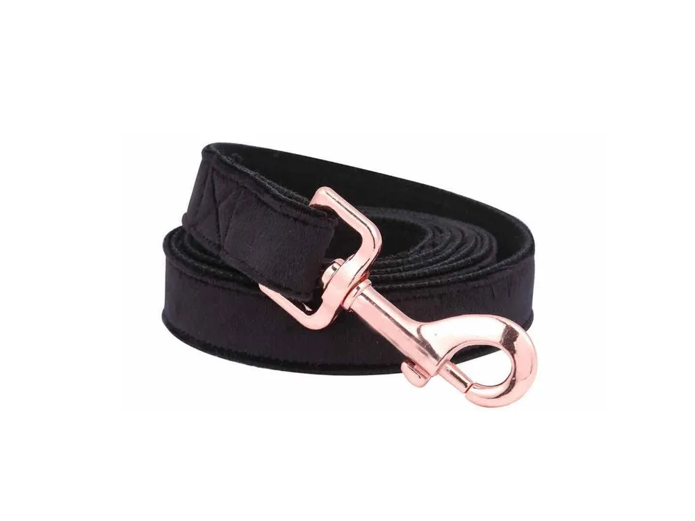 Comfortable Dog Collar