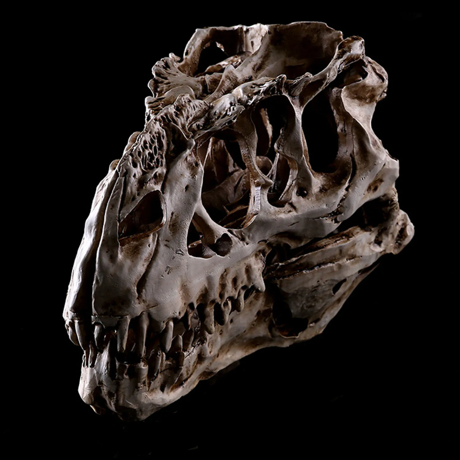 

Behogar Scary Artificial Resin Crafts Dinosaur Tooth Skull Skeleton Model for Haunted Home Halloween Party Decoration
