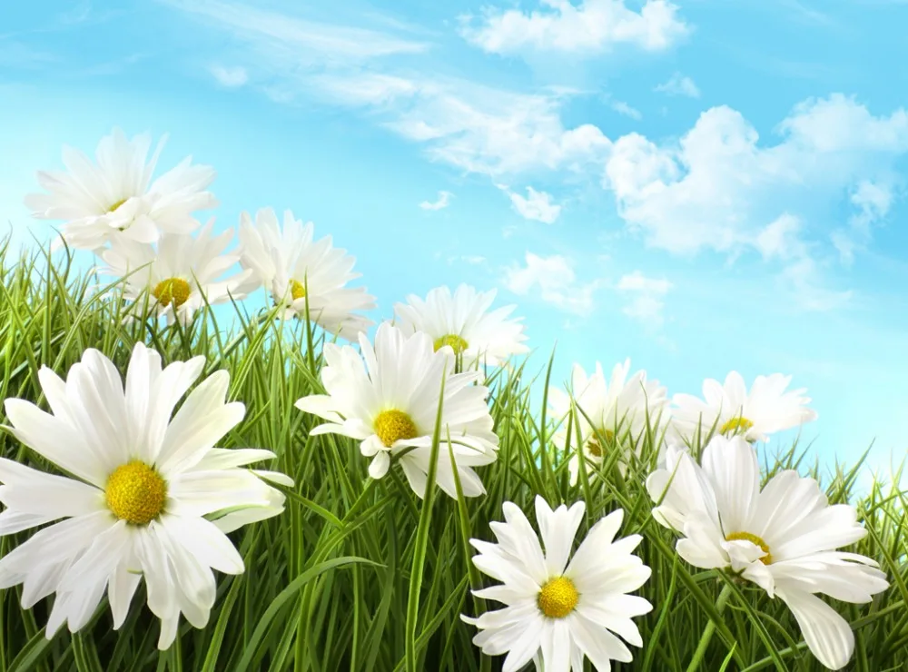 3d الطباعة زهرة بيضاء السماء 3d ستائر التعتيم الحديثة لغرفة المعيشة الفاخرة غرفة نوم فندق مقهى ، مكتب أريكة