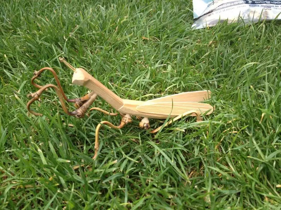 Bamboo mantis украшения игрушки бамбуковые поделки (A231)|craft|craft toyscrafts ornament |