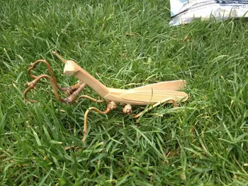 

Bamboo mantis ornaments toys bamboo crafts(A231)