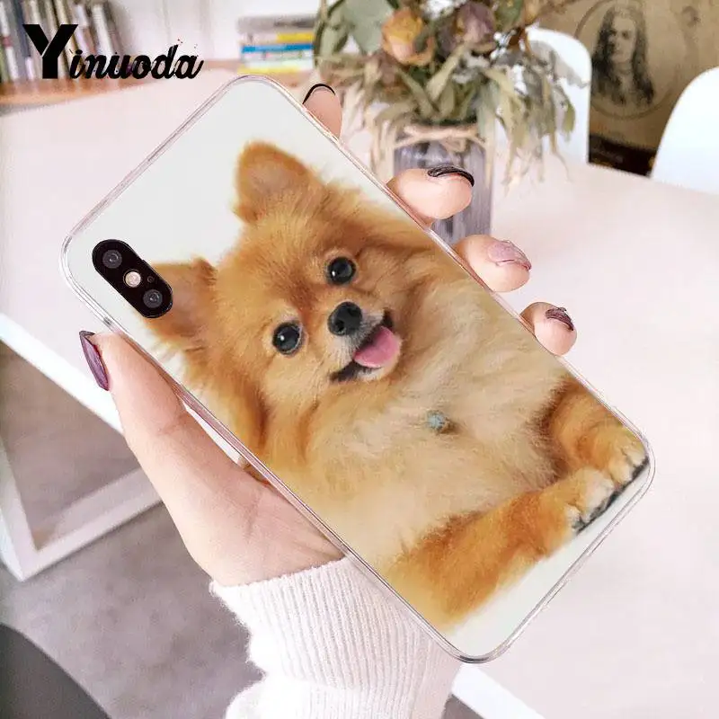 2 Yinuoda Pomeranian dogs Красочный милый чехол для телефона для iPhone 8 7 6 6S Plus X 10 5 5S SE XR XS XSMAX11 11pro 11promax - Цвет: 2