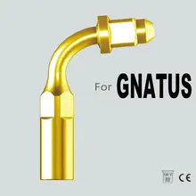 Venta directa de fábrica EG2T GNATUS de titanio plateado punta oral higiene dental endodoncia equipo