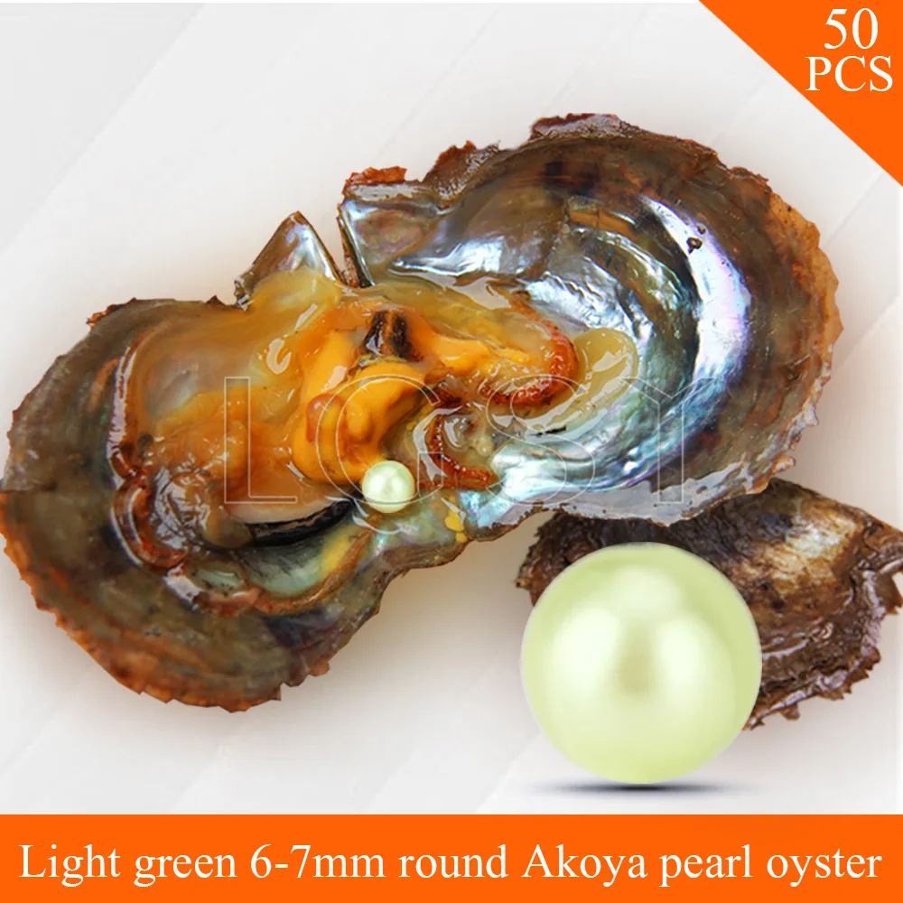 

Bead wholesale Light Green pearls 50pcs vacuum-packed oysters with 6-7mm round akoya pearls