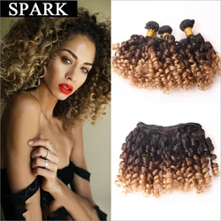 

Ombre Brazilian Virgin Hair Spiral Curly 3/4 Bundles Human Hair Weave Kinky Curly Wet Spiral Curls Cheap Jerry Curly Mocha Hair