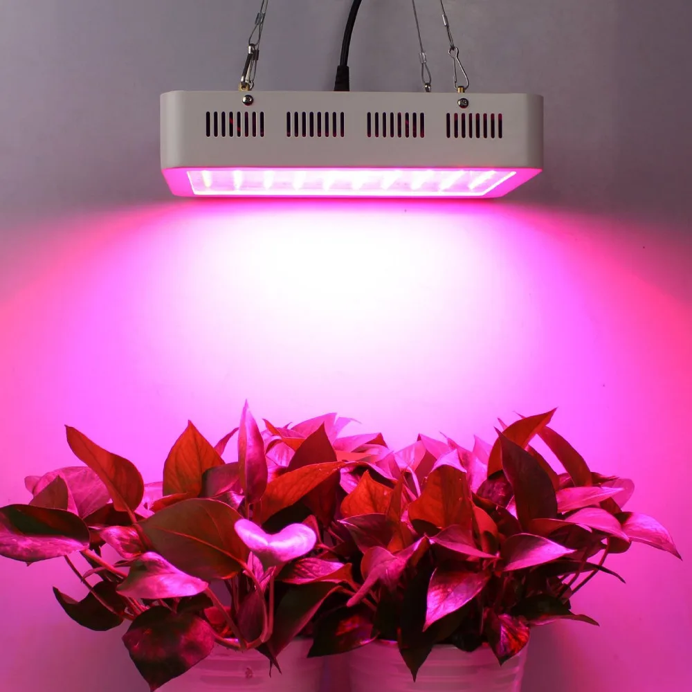 110v 260v 300W LED Grow Light Full Spectrum Fitolampy Lamps Lights Lamp