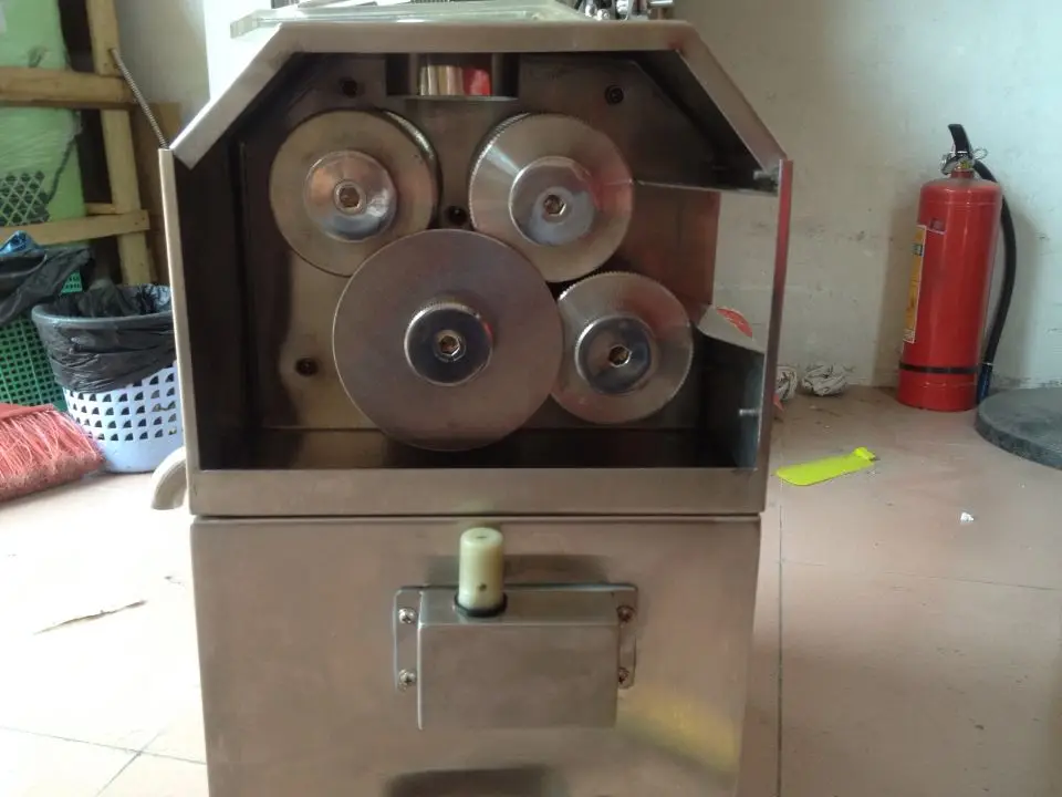 sugar cane juicer (3)
