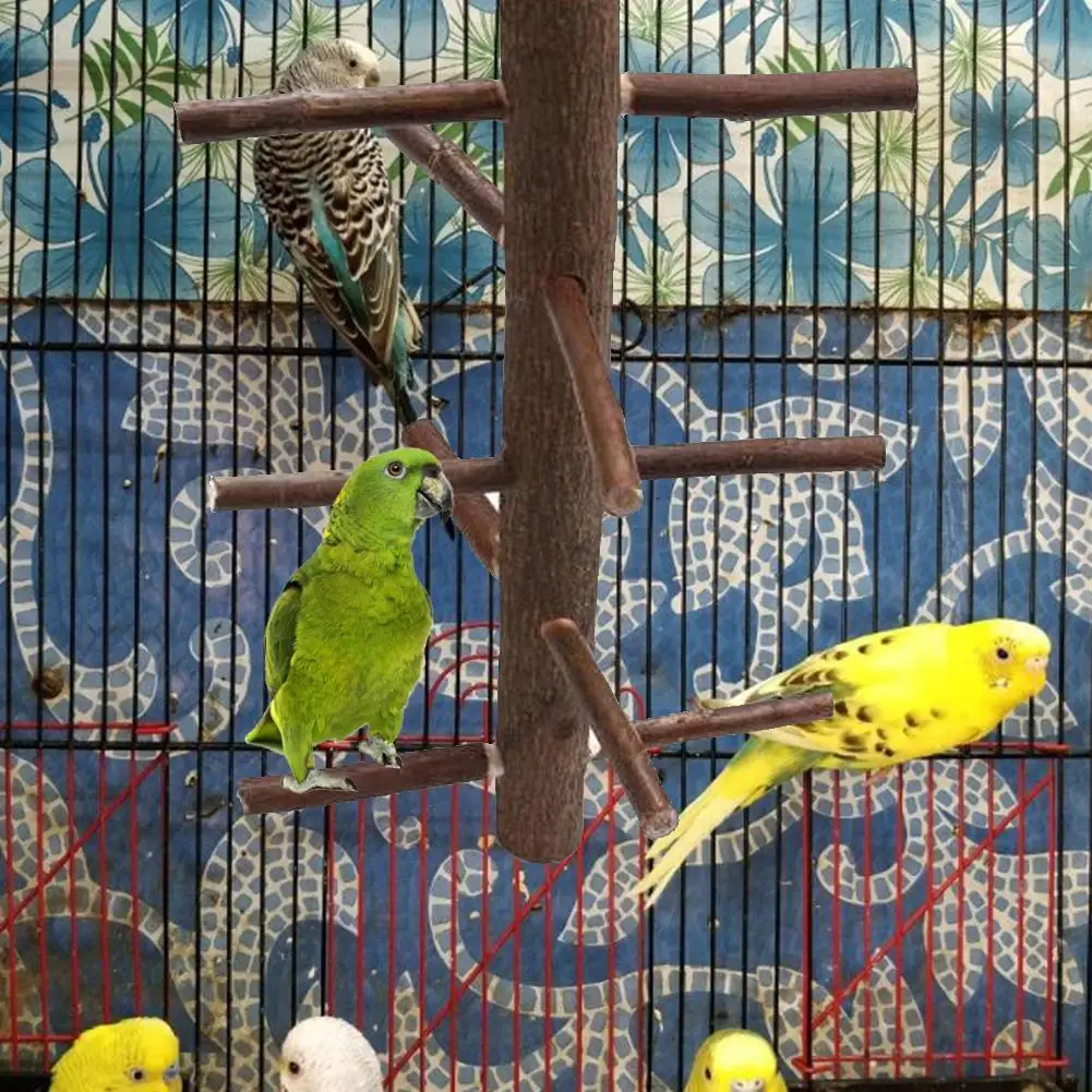 Parrot Pet сырье Дерево Висячие стойки игрушка Parakeet ветка perches для клетки птицы Прямая поставка