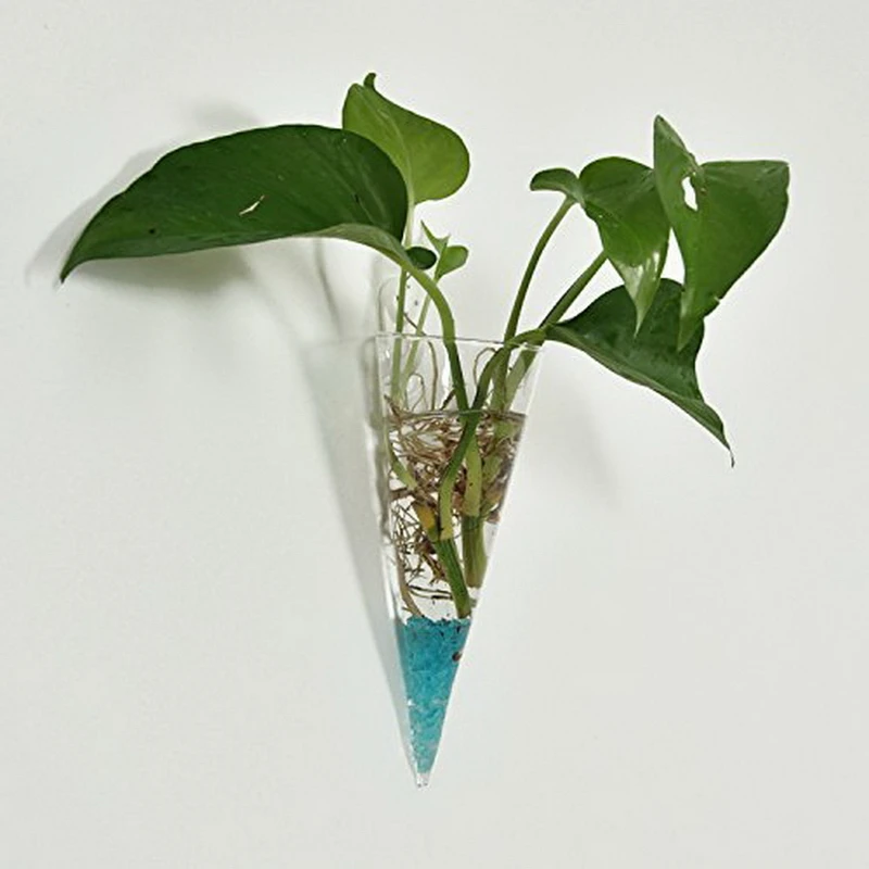 1PCS Clear Cone Glass Wall Hanging Flower Vase Plant ... 1PCS Clear Cone Glass Wall Hanging Flower Vase Plant ... on Decorative Wall Sconces For Flowers Vases At Home Depot id=66438