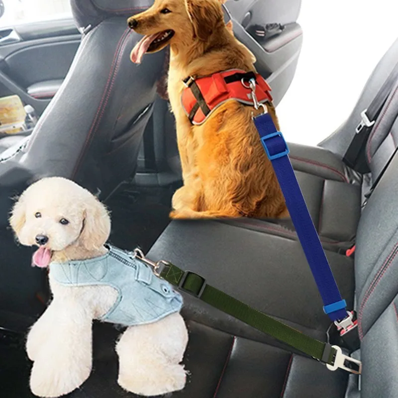 puppy seat belt